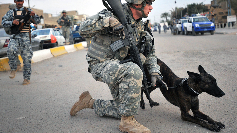 Illustration for article titled 26 Awesome Photos of War Dogs Showing How Badass and Cute They Can Be